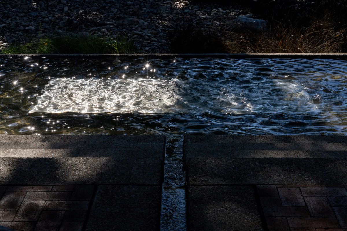 California Botanic Garden tweet media