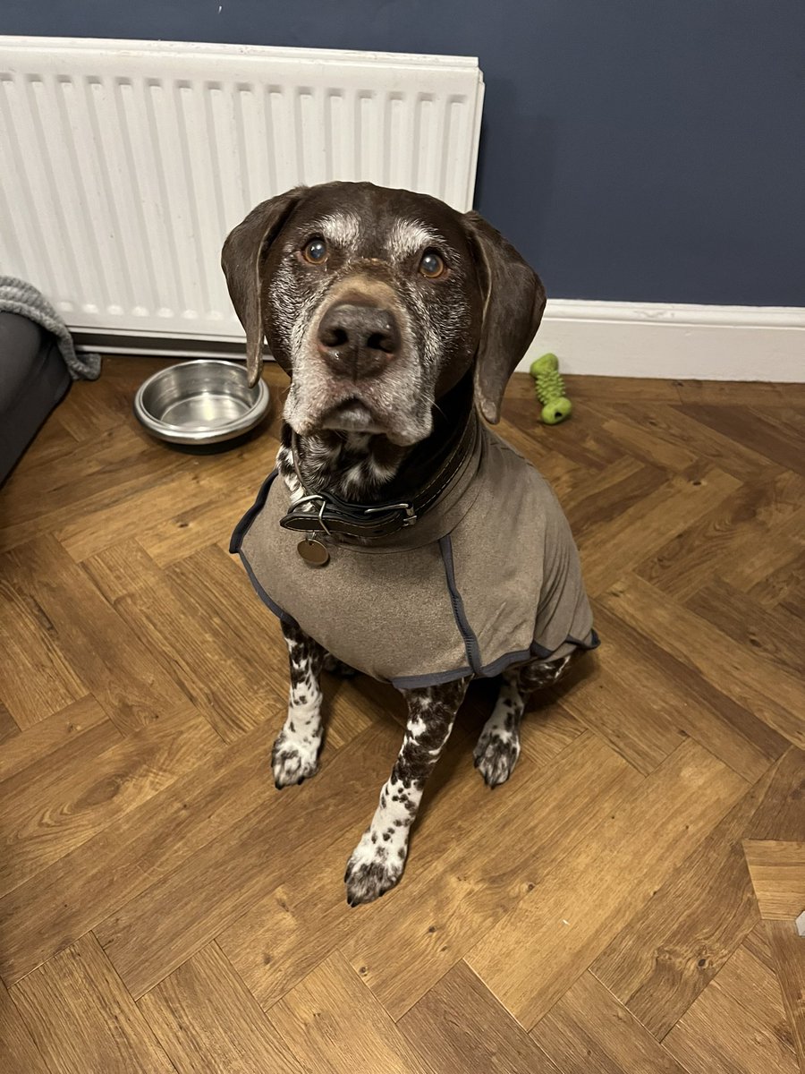 Almost Elcho Grey! #LondonScottish
 <a href="/GuardsReserve/">London Guards Army Reserve</a>