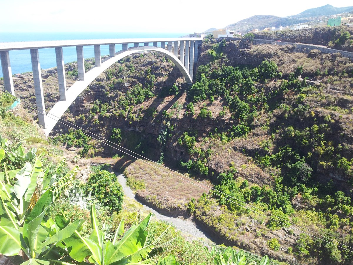 TCanaryIslands's tweet photo. The current name of the island of #LaPalma could be due to the extensions of Canary palm trees (Phoenix canariensis) that it has. #canaryislands https://t.co/dkSUXpyuC5