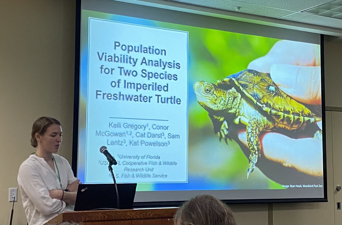 Masters student @KailiGregory did an outstanding job on her Western pond turtle viability modeling presentation at #TWS2022. I’m a very proud advisor!
