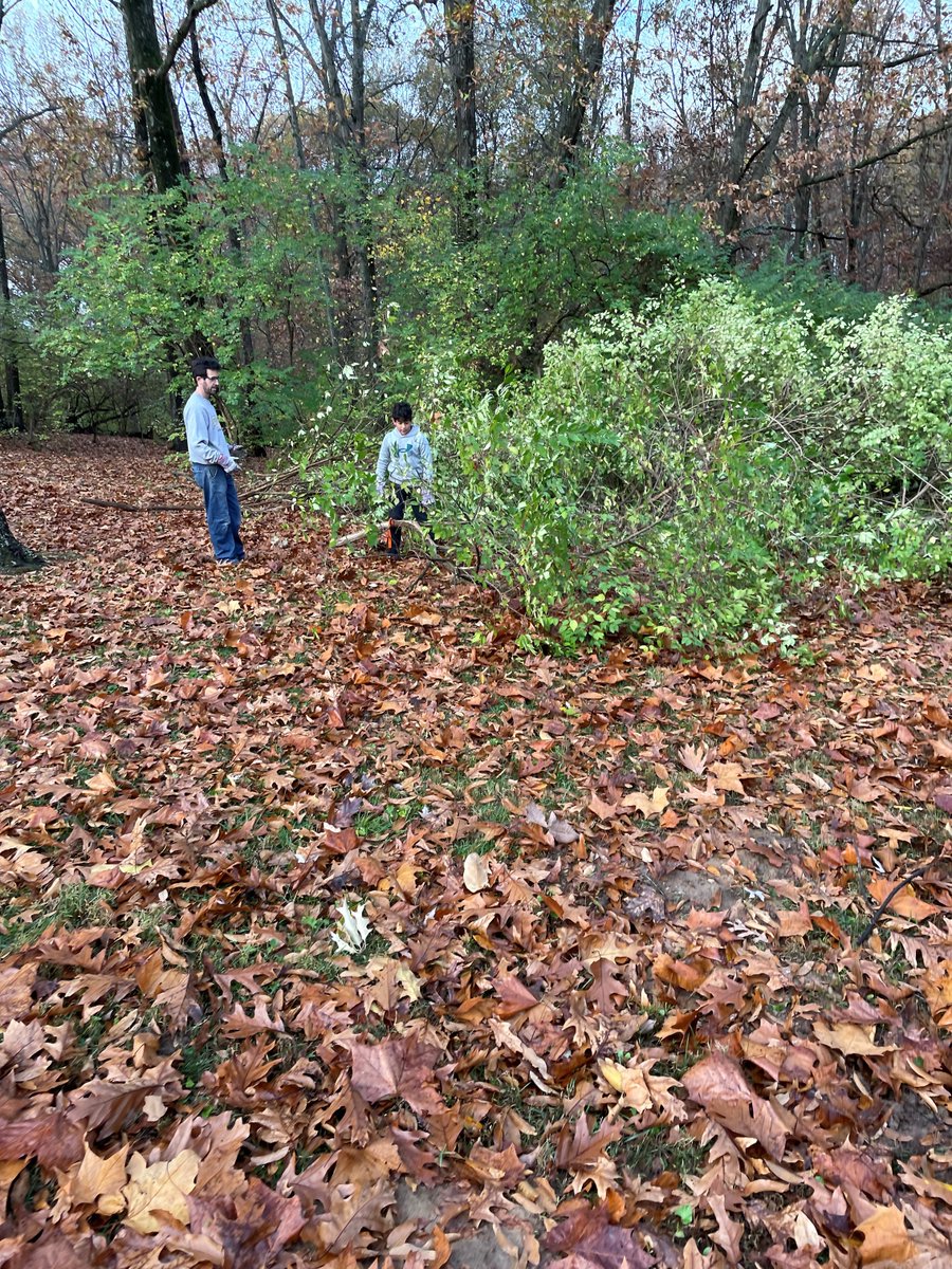 A good crowd showed up at Schroeder Park this past Saturday to participate in the Honeysuckle Hack. With lopping shears in hand, they went into the park's wooded area to rid it of the invasive plant species. Thanks to all who participated!
