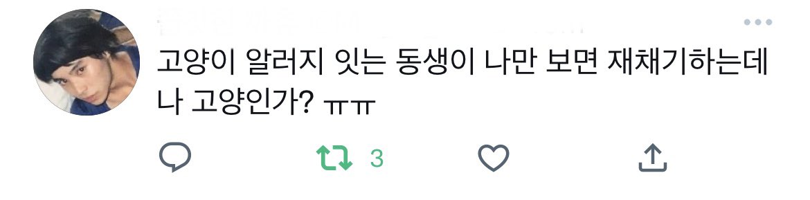 고양이 알러지 잇는 동생이 나만 보면 재채기하는데 나 고양인가? ㅠㅠ