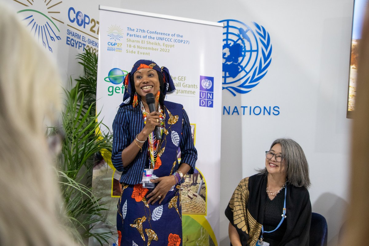 IISD_ENB's tweet photo. .@hindououmar, @AFPAT_ congratulated @theGEF Small Grants Program on #30yearsofaction

She called Indigenous Peoples the “COO of nature” and stressed the need for increased direct funding to these communities.

@GEF_SGP #ClimateAction #COP27 https://t.co/DEDkSlgdGP
