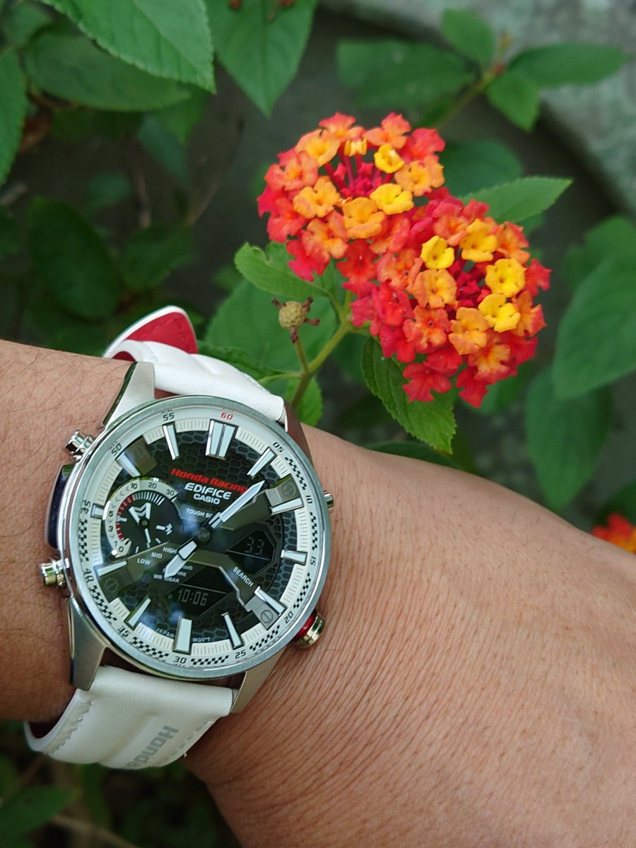 shinkoro1000rr's tweet image. おはようございます🌞
今日も頑張っていきましょう👊
今日も朝から住居不法侵入？🤭(笑)田舎は怒られないのですよ🤣そこが良い所かな？🤣

#CASIOEDIFICE #HONDARacing