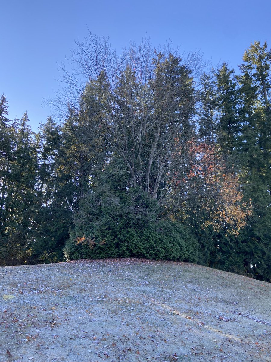 We explored a place that was new to us! What do you notice? What is similar to our place? What is different? #sd37