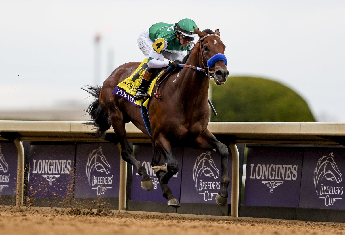 It's been a big day for stud fee announcements...

💰 Dubawi - £350,000
💰 Frankel - £275,000
💰 Flightline - $200,000

Which would you choose?