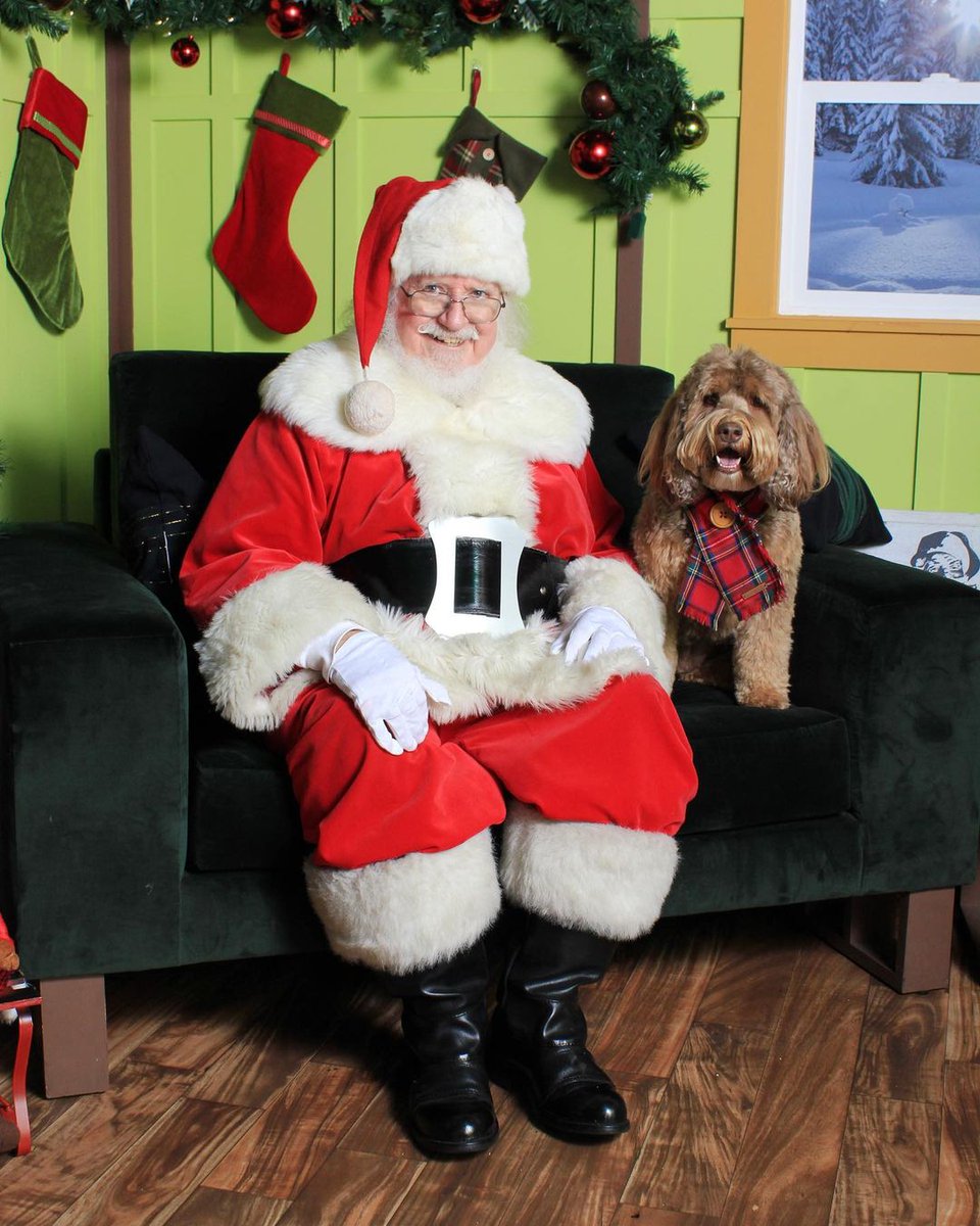 ShopDelMonte's tweet photo. Santa Paws is coming to town! 🐾 Bring your furry friend to #DelMonteCenter from 11/11-11/13 for a picture with Santa! 🎅 Photo packages are $25 in advance or $30 at the door and proceeds benefit @AnimalFriendsR1. Book your reservation: https://t.co/qdCKfDfRHV. | @baileydoodleish https://t.co/qjvsWXXSe6