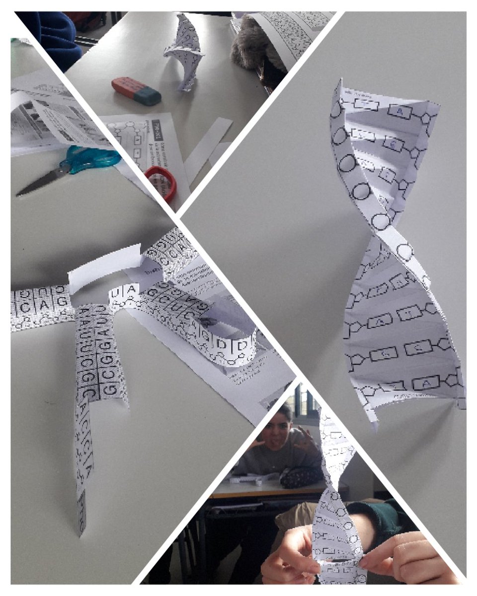 pampinbyg's tweet photo. En #2BACH también hay tiempo para repasos relajados💆🏻‍♀️💆🏼‍♂️, aunque a algunos la papiroflexia molecular les haya estresado🤯 más que una clase normal, ¿verdad?🤣 Gran trabajo chicos, construyendo maquetas del ADN🧬 y el ARNt. Este y otros modelos aquí: https://t.co/7AMNEcmT44 https://t.co/Vs4p9sbr1u