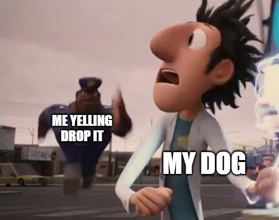 LittleStewart31's tweet photo. I'm sure anyone with a dog can relate. #MCO335 #dogsbelike https://t.co/IdQOjhEcre