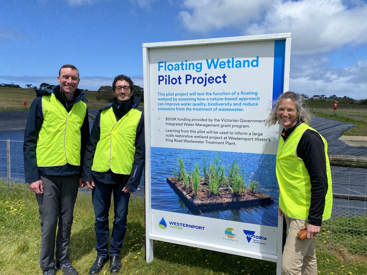 New project! The BCL will be working with Westernport Water to monitor the benefits of installing floating wetlands on water quality and avoided emissions of wastewater lagoons.
To find out more about floating wetlands, visit bluecarbonlab.org/floating-wetla…