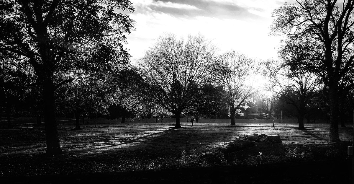 I had so snap this view, the setting sun across Beckett's Park, I prefer it in b&w, the person standing looking at their mobile in the middle really stood out #mobilephotography #amateurphotography #throughmywindow #RiverNene #Northampton @northamptonlove @NN_BestSurprise