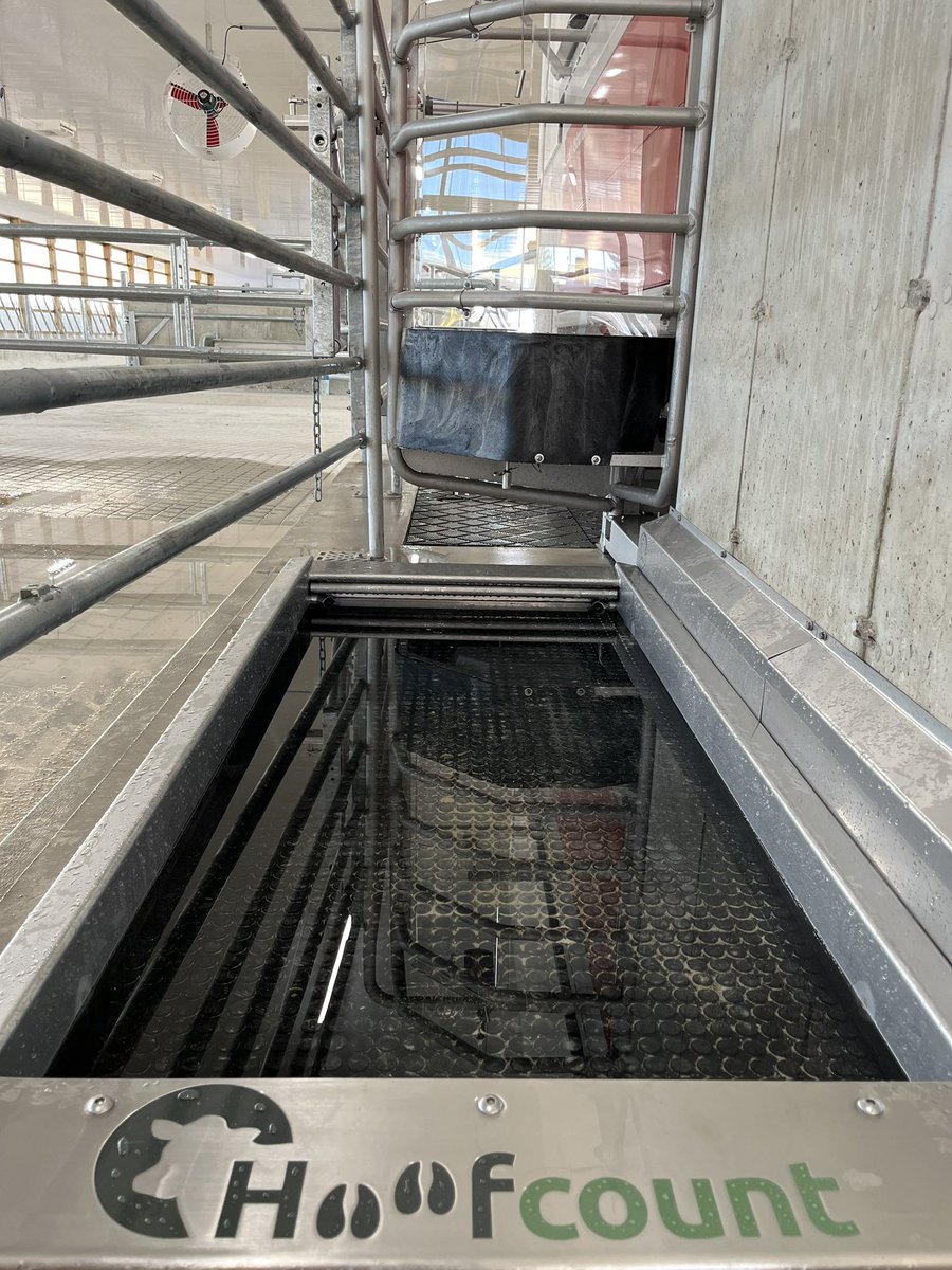 Footbathing serves as a great preventative maintenance to avoid lameness in your herd.

Unlike conventional systems, the <a href="/hoofcount/">Hoofcount Ltd</a> footbath will help you with just that, but without the labour involved.

Contact us today for more info!

#automationengineering