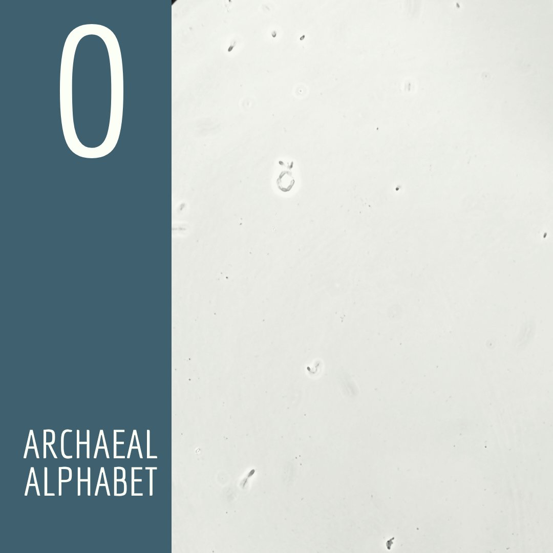 Viktoria Weinberger tweet media