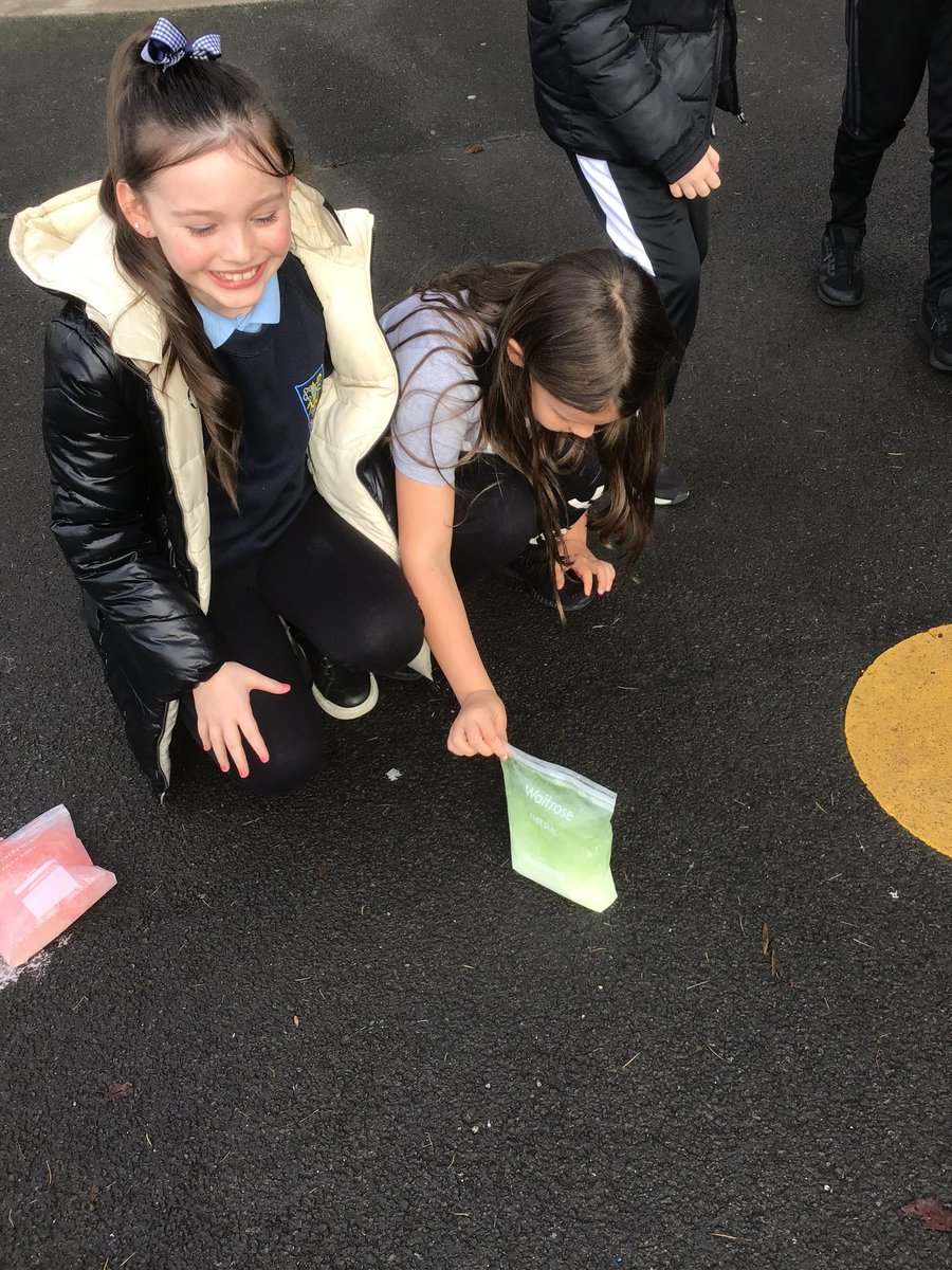 Lauren St George tweet media