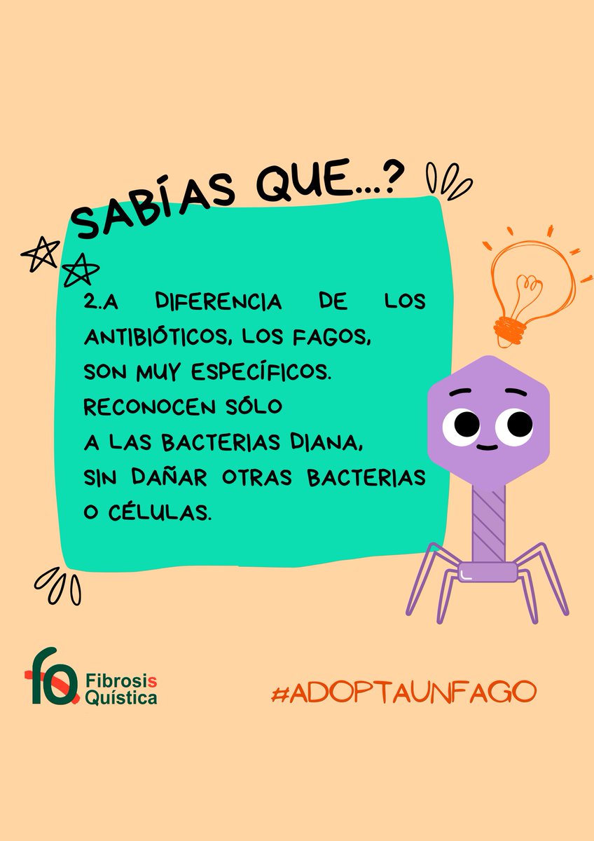 AdoptaUnFago's tweet photo. Apoyando #AdoptaUnFago estarás ayudando a luchar contra las bacterias multiresistentes,un problema que nos afecta a todos.
Adopta un fago con tu donación a través de nuestro perfil o en  https://t.co/HqU9vBApQu en la sección colabora
#fagos #bacteriasresistentes #fagoterapia https://t.co/C6Q3dCiVp6