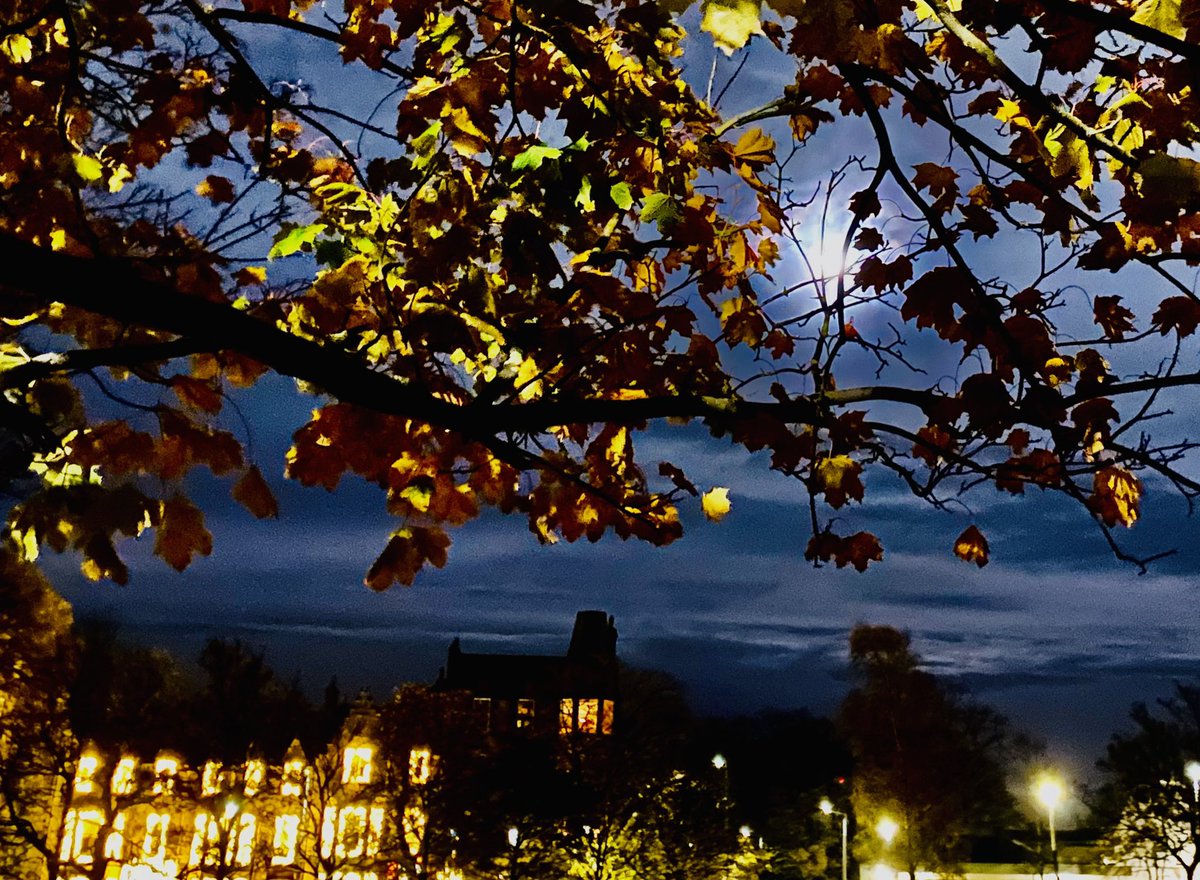 Evening reflections 💫 🌕#LightTheNight 🍂🫶#Bruntsfieldlinks & environs! #Novembernight 🍁🪵💛#Edinburgh