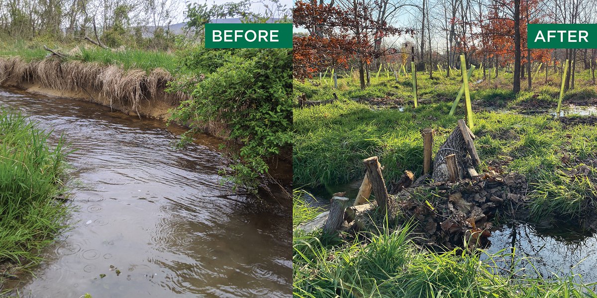 Ecotone, Inc tweet media