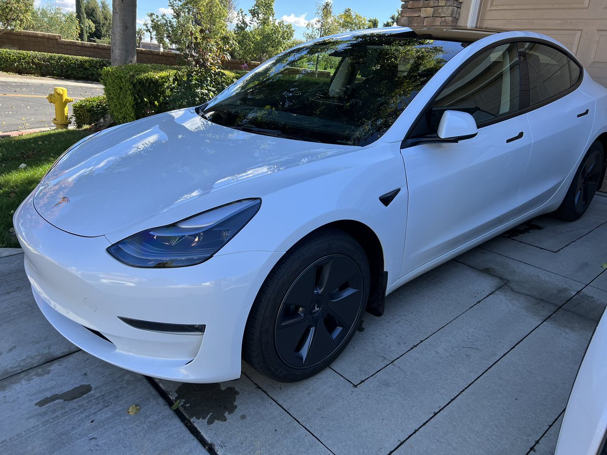 shivampatel630's tweet photo. the tesla is back in business 🕺🏽 https://t.co/sbX00CQr9X