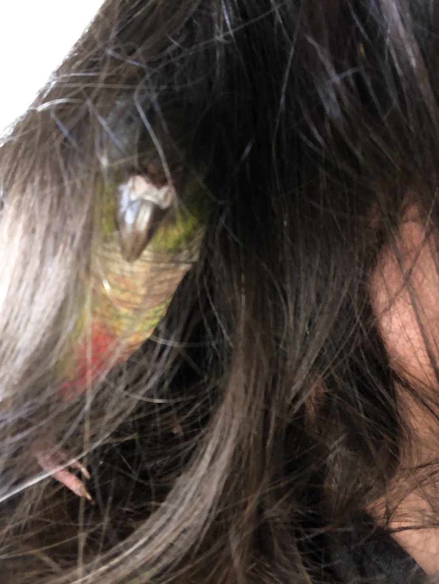 Picasso~GCC tweet media