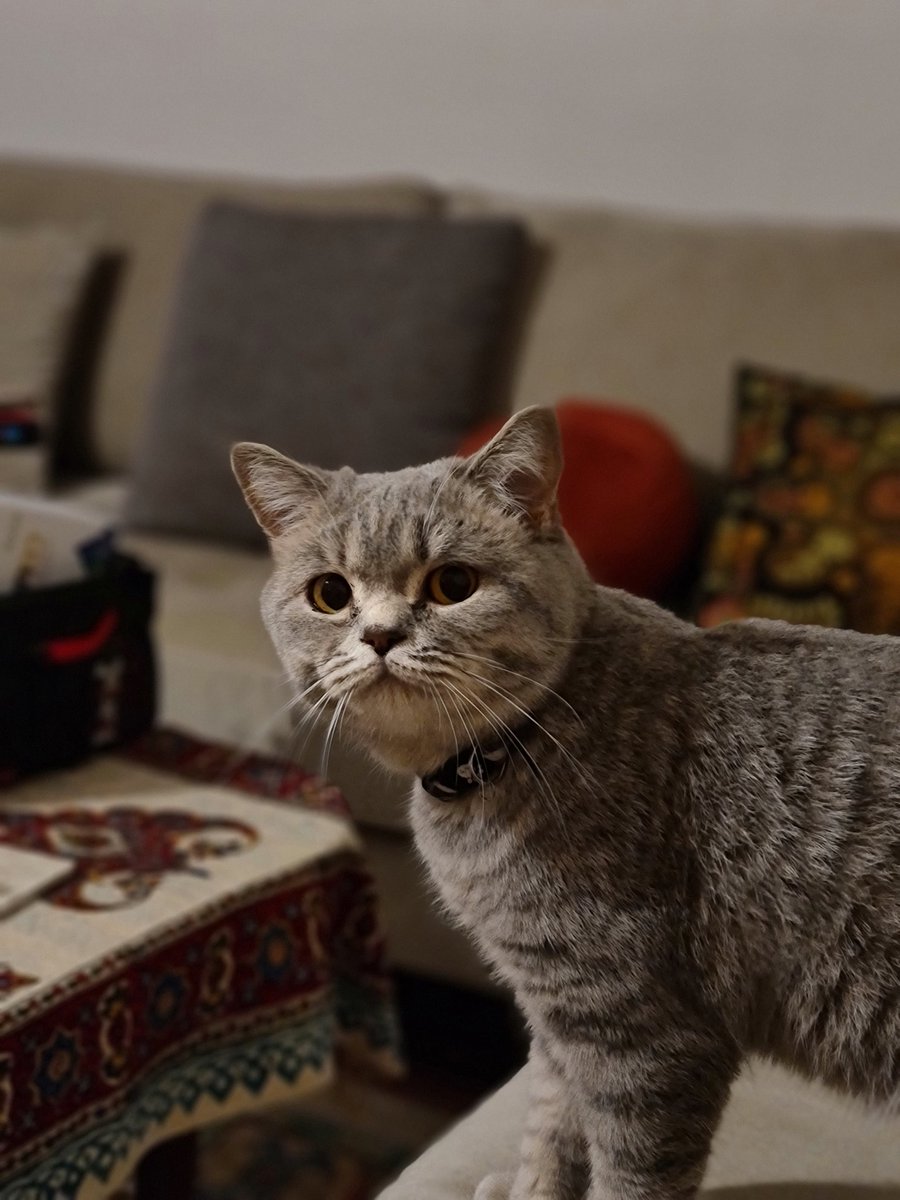 ypcnevin's tweet photo. Cuma günü @nevrenk te ne varmış 🥳 https://t.co/h9i3AZIgGu
