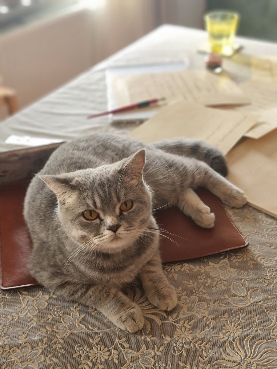 Cuma günü <a href="/nevrenk/">Nevrenk Atölye</a> te ne varmış 🥳