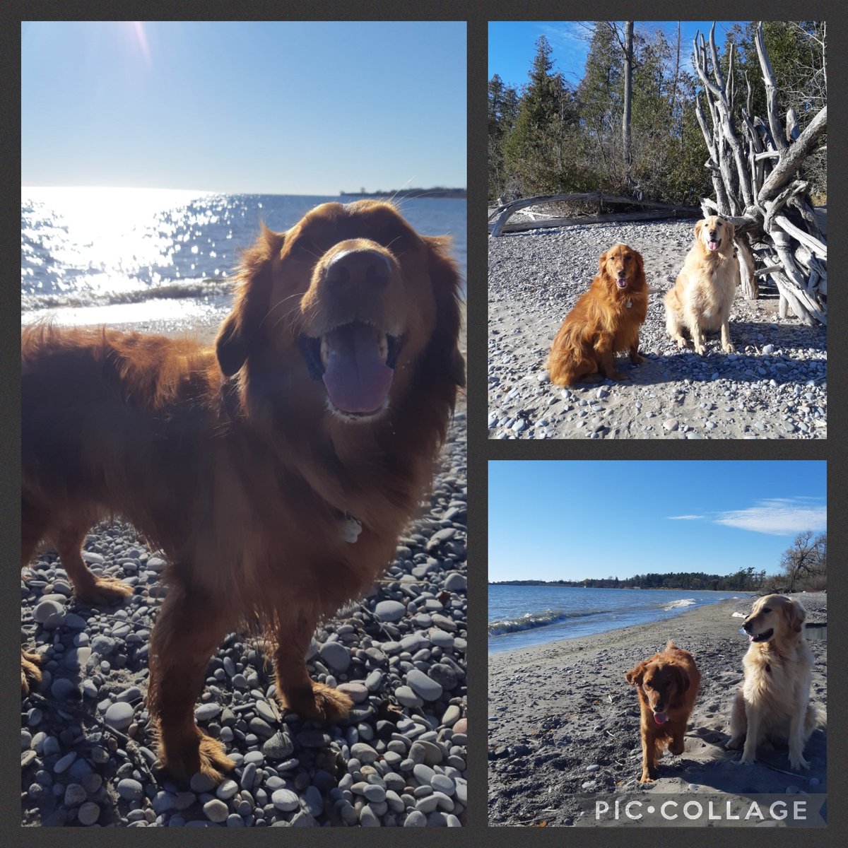 Dean Maahs tweet media