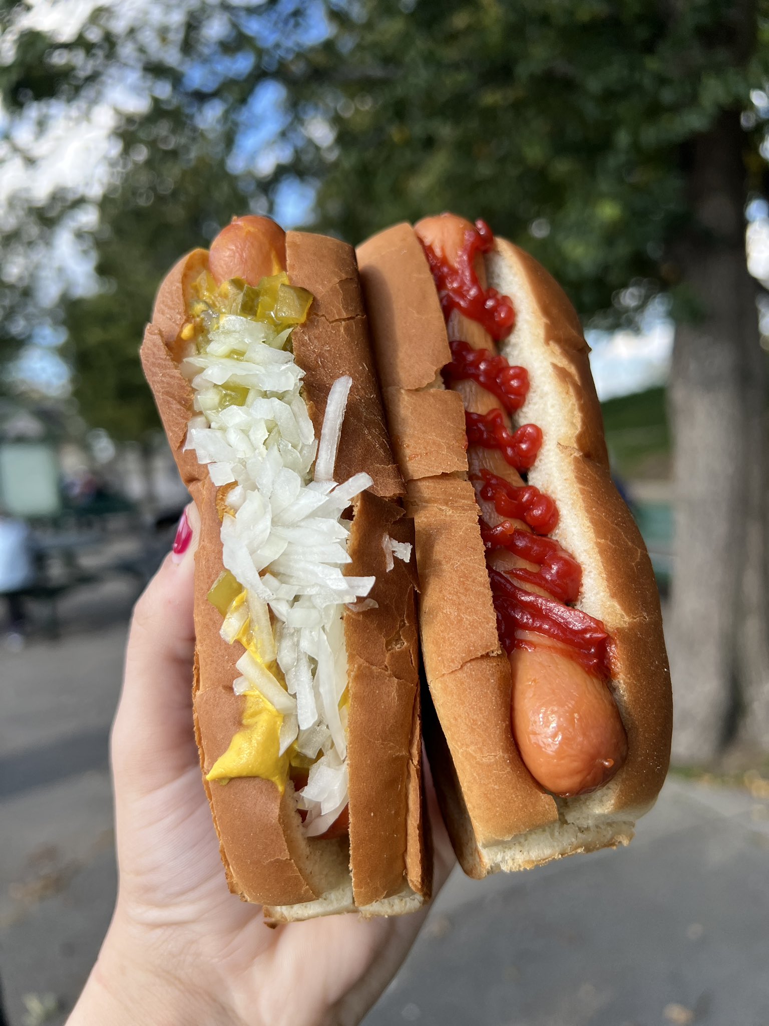 Hot Diggity Dog - Half-Price Hot Dogs at Sullivan's - end of season coming  in December - Caught In Southie