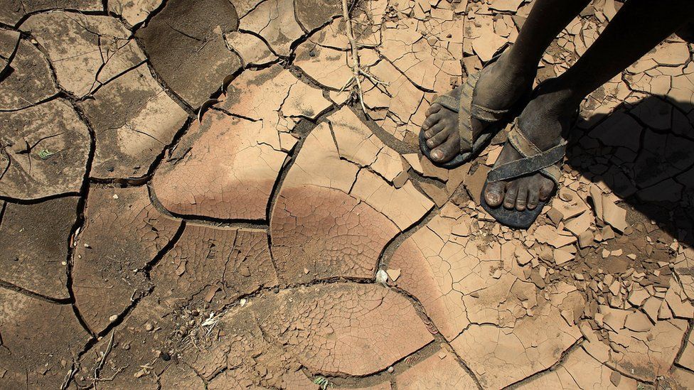 HaliaV4non's tweet photo. More than 70% of the world's refugees and displaced people come from the most #climate-vulnerable countries, such as Afghanistan, the Democratic Republic of the Congo, Syria and Yemen. Somalia, almost a million displaced people. Mali the most  tragic crisis #COP27 #ClimateAction https://t.co/AZrqZrRYNt