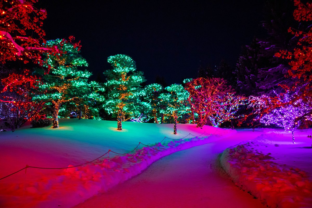 Need another reason to visit the amazing <a href="/NikkaYuko/">Nikka Yuko Japanese Garden</a> this winter? 🌳

We've teamed up to create the Kamakuara domed experience - a 360-degree video that immerses visitors in stunning visual displays. Experience it during the Winter Light Festival!

More ➡️ lethbridgecollege.ca/news/news-rele…