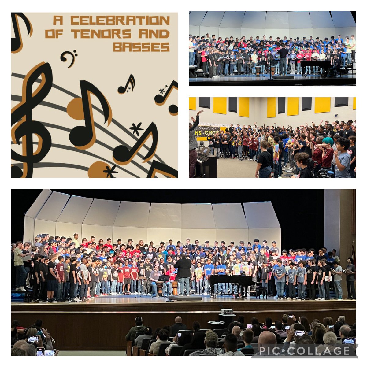 So proud of the amazing work by our Secondary Choral Music Team for yesterday’s Tenor/Bass Celebration!  270 MS and HS Tenor/Bass singers worked with clinicians and combined for a spectacular concert!  #FISDmadetoshine #fisdfineartsleads