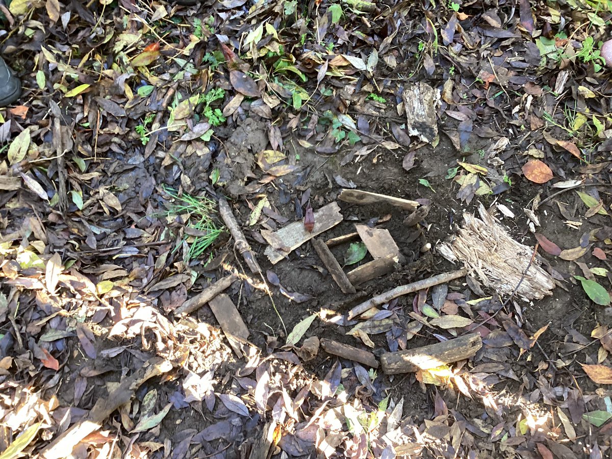SturgessMrs's tweet photo. During our outdoor learning session today Year 5 recreated our own Ancient Egyptian tombs 🪵@bastonceprimary https://t.co/HBAaeuFU32