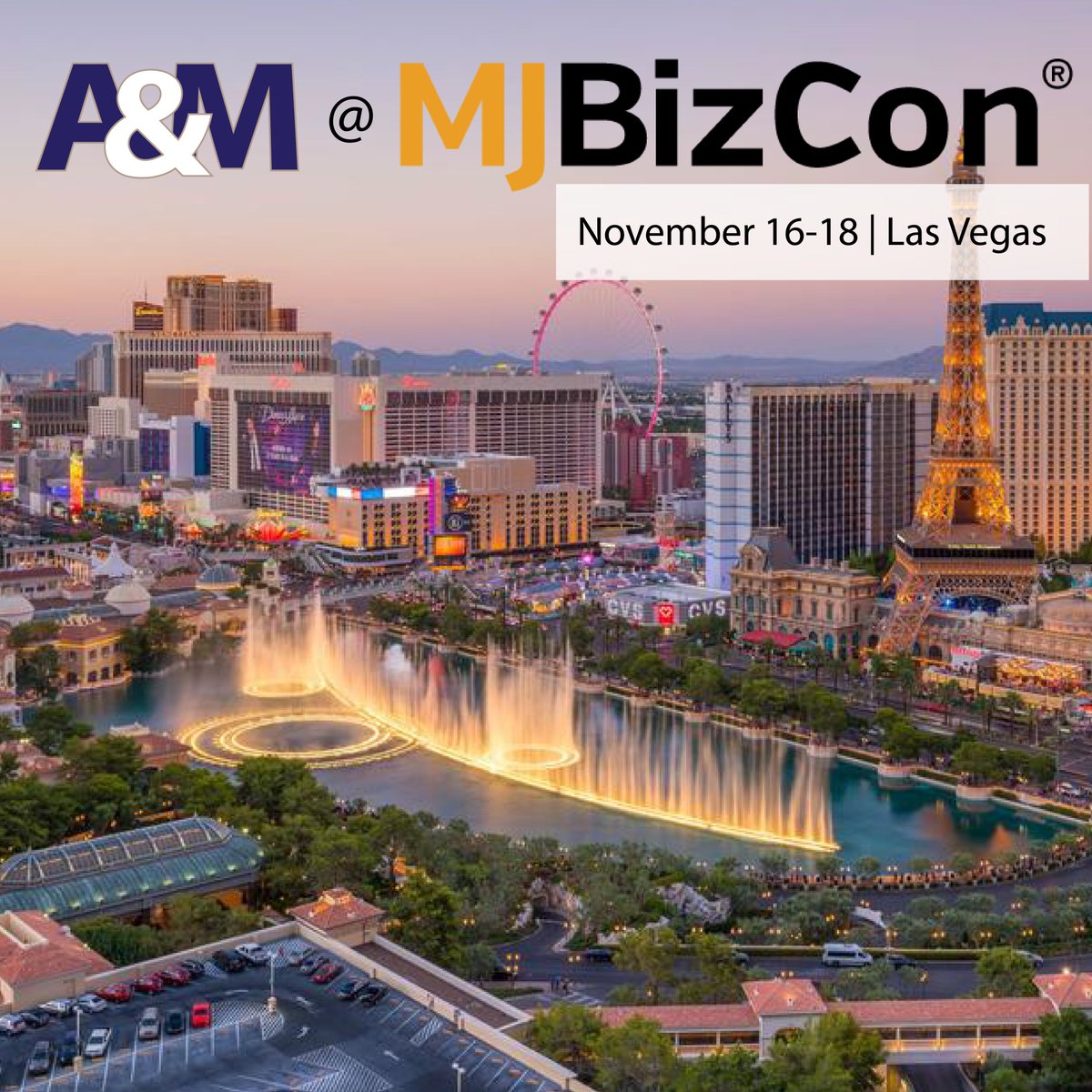 AMCStorage's tweet photo. We will be out in Vegas next week at the MJBizCon. Come see our NEW 20' container at booth #7443!
#coldstorage #mjbizcon2022 #vegas #conference #container #tempcontrol https://t.co/kpGk5Es21b
