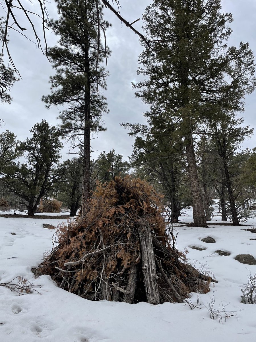 UtahWildfire's tweet photo. With moisture in the forecast @UtahFFSL fire crews began ignitions on several Rx projects throughout the state. These include Old Iron Town Community piles/Iron Co, Beaver High Adventure Base/Beaver Co, the HMGP tamarisk removal/Millard Co, & Coldwater Rx/Cache Co. #FuelsProjects https://t.co/nCPhZjniUL