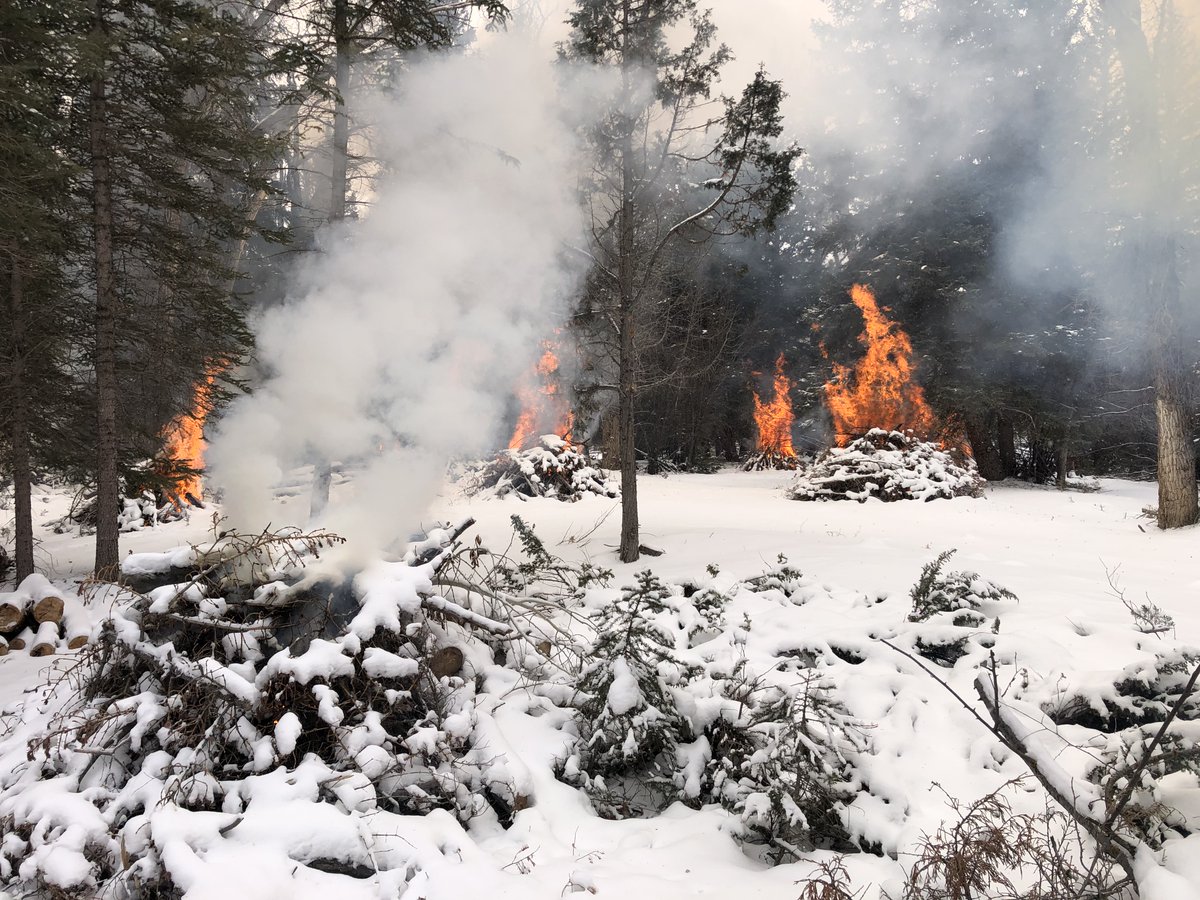 UtahWildfire's tweet photo. With moisture in the forecast @UtahFFSL fire crews began ignitions on several Rx projects throughout the state. These include Old Iron Town Community piles/Iron Co, Beaver High Adventure Base/Beaver Co, the HMGP tamarisk removal/Millard Co, & Coldwater Rx/Cache Co. #FuelsProjects https://t.co/nCPhZjniUL