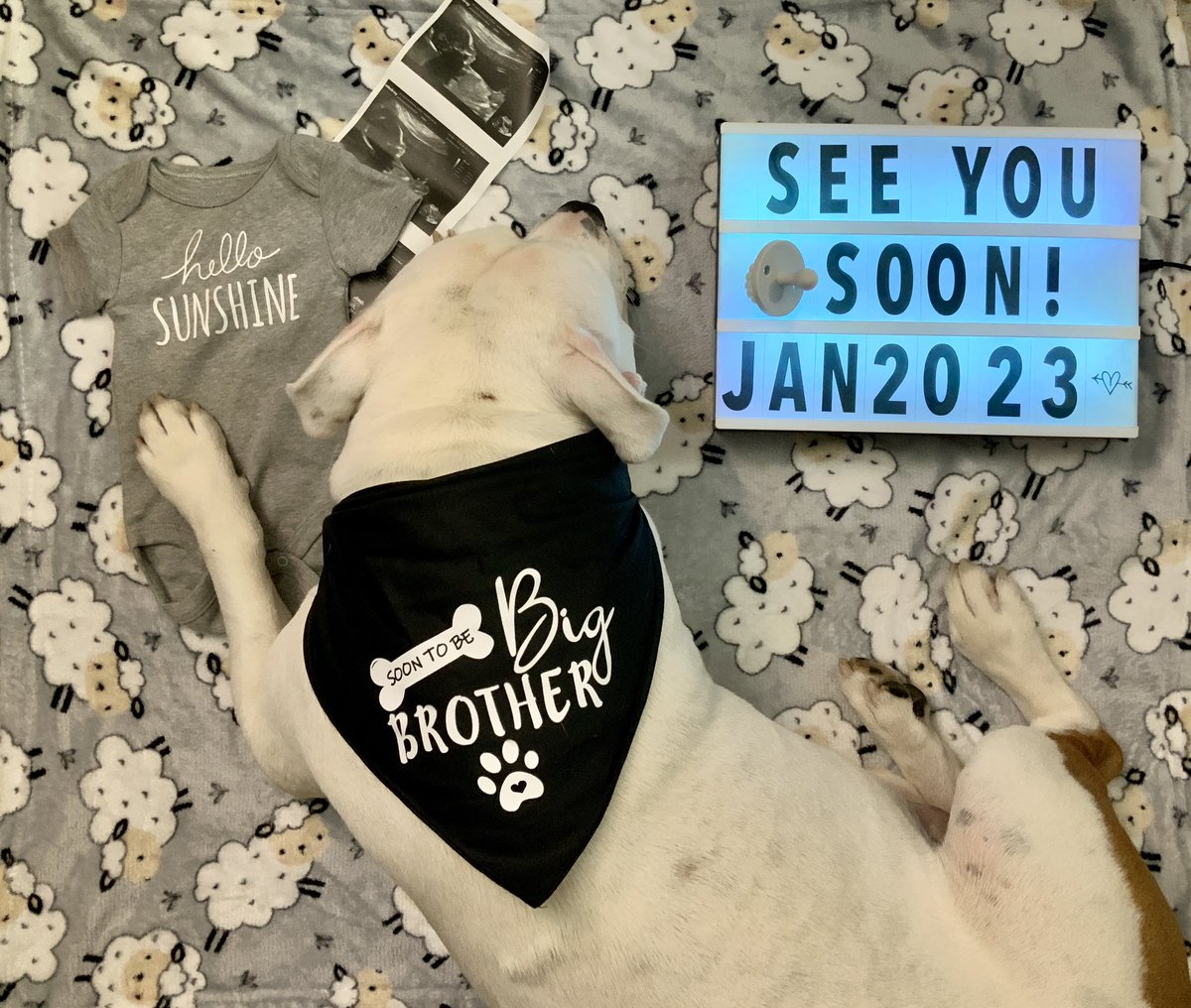 CeeSimminYT's tweet image. Well, ya’ll heard what Chance said🥰
Mommy &amp;amp; daddy can’t wait to meet you 💙

Annnnnnnd this is why I’ve been m.i.a 🥴🤣🥹