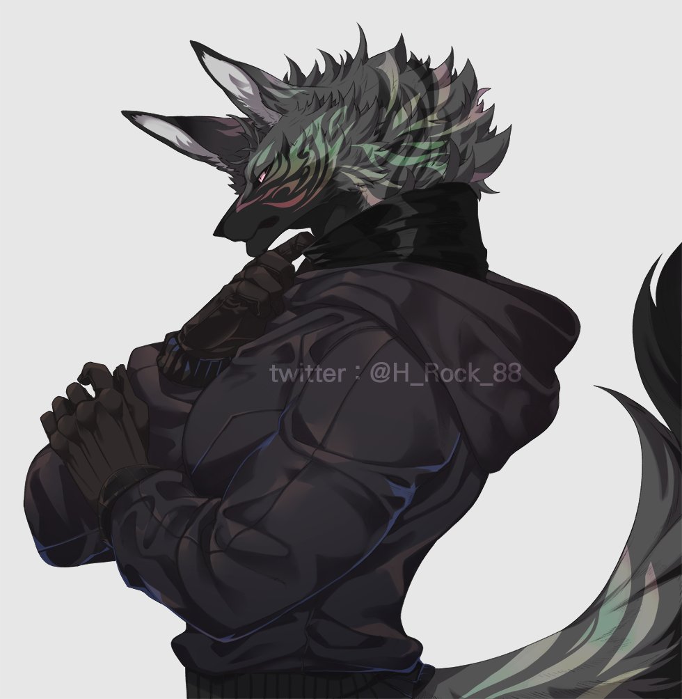 1boy male focus solo furry furry male tail animal ears  illustration images