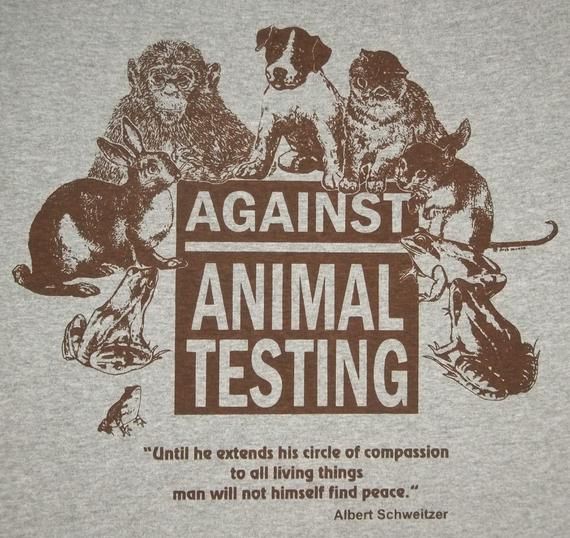 @IDAUSA @Ivy_MiddletonUK @Ale6altrove @RobRobbEdwards @SciInsider @Sammy_Roth @ScienceMagazine @pfimrite @DiscoverMag Using innocent #animals in labs for horrific, cruel painful testing is proven to be ineffective! STOP TESTING on these helpless souls! #AnimalRights