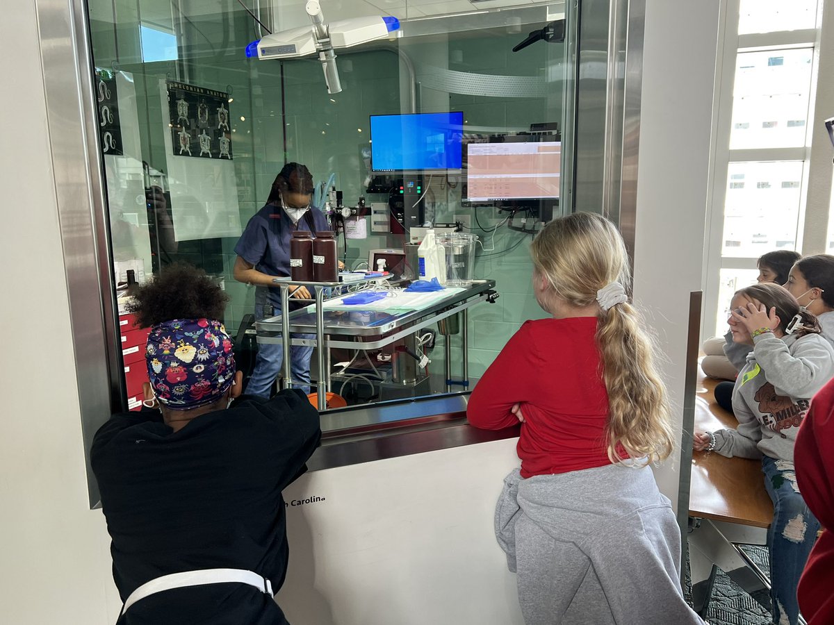 MelanieVarvi's tweet photo. Our 5th graders had a great time learning about science at the North Carolina Museum of Natural Sciences in Raleigh @cabrahamjohnson @EEMillerElem @sarahruddock4 @CumberlandCoSch https://t.co/tzNPz4pbMX