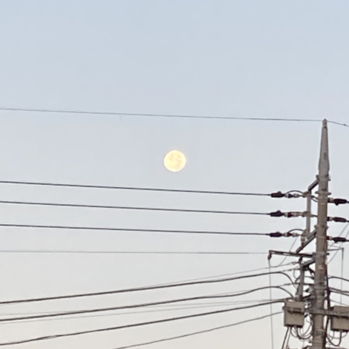 おはようございます
昨日から朝のウォーキングをしています。
明け方の月がキレイなので得した気分です。