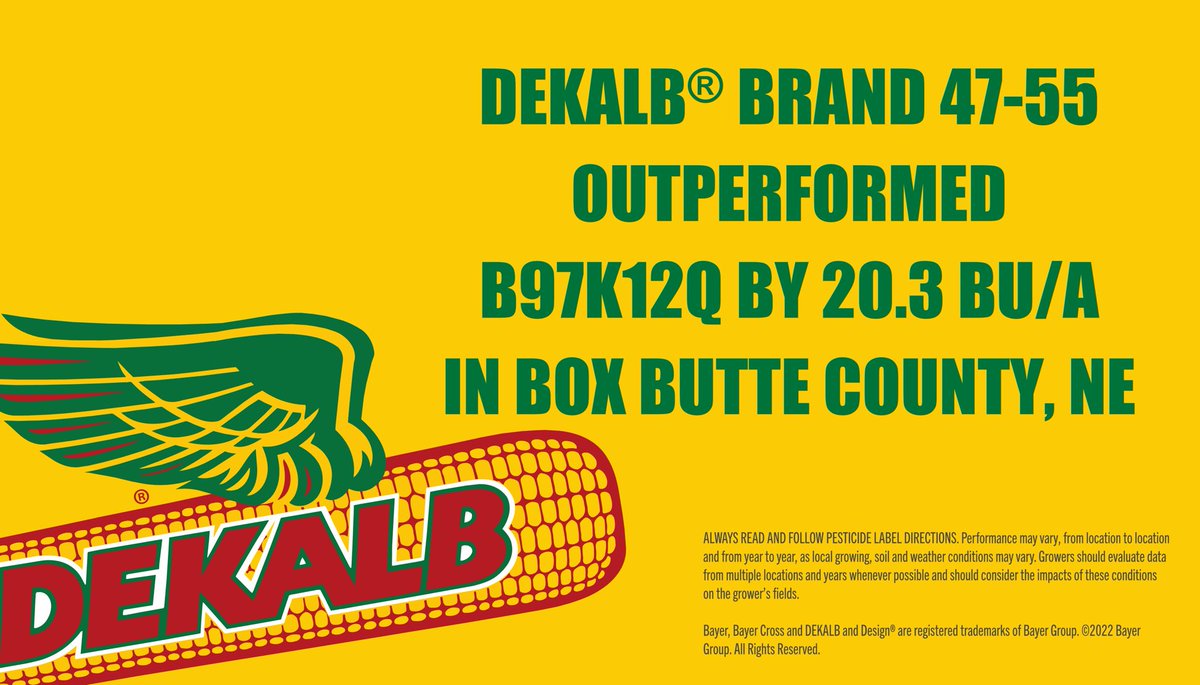 DanMarostica's tweet photo. Another large WIN!! DEKALB Brand continues to perform!!  ⁦@DKAS_HP⁩ #Bayer4NE #WinningHasRoots #Harvest2020 ⁦@DustinSchmer⁩ https://t.co/EtO7p1XU9K
