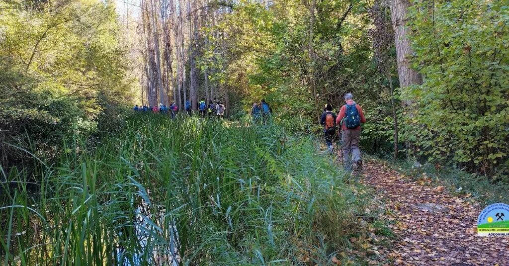 ageominlir's tweet photo. Algunas fotos de la salida de este pasado domingo 6 de noviembre por el barranco de Gabasa | Más fotos: https://t.co/kyK00CfLq8
#gabasa #peraltadelasal #peraltadecalasanz #lalitera #huesca #pirineos #divulgacioncientifica #divulgacion #geologia #patrim… https://t.co/DXEKo9AGoW https://t.co/n6dnowjdYx