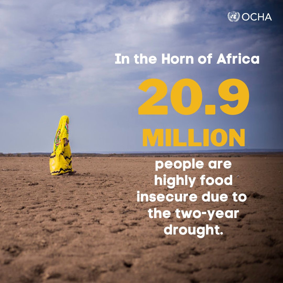 The Horn of Africa is facing a 5th consecutive drought season, with below-average rainfall expected to continue into 2023.

Immediate global action is needed to prevent famine &amp; and to ensure life-saving assistance reaches those in need. reliefweb.int/report/somalia… via <a href="/UNOCHA/">UN Humanitarian</a>