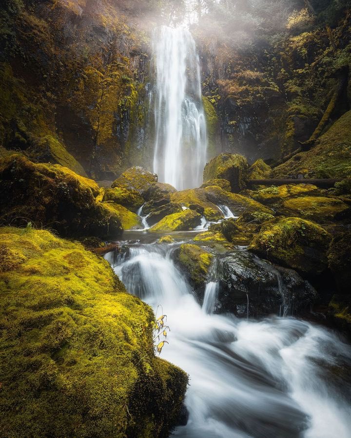 Are waterfalls the perfect all-weather every season photography subject? We think so! A huge thanks to the talented @mike_dowdell for this breathtaking waterfall captured on the SIGMA 14-24mm F2.8 DG DN | A