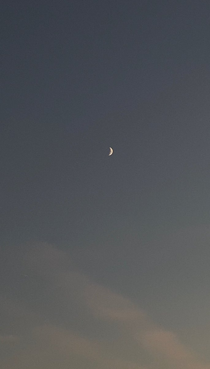 paulaacrd_'s tweet photo. <33🌙 https://t.co/Q7NrSFSaKc
