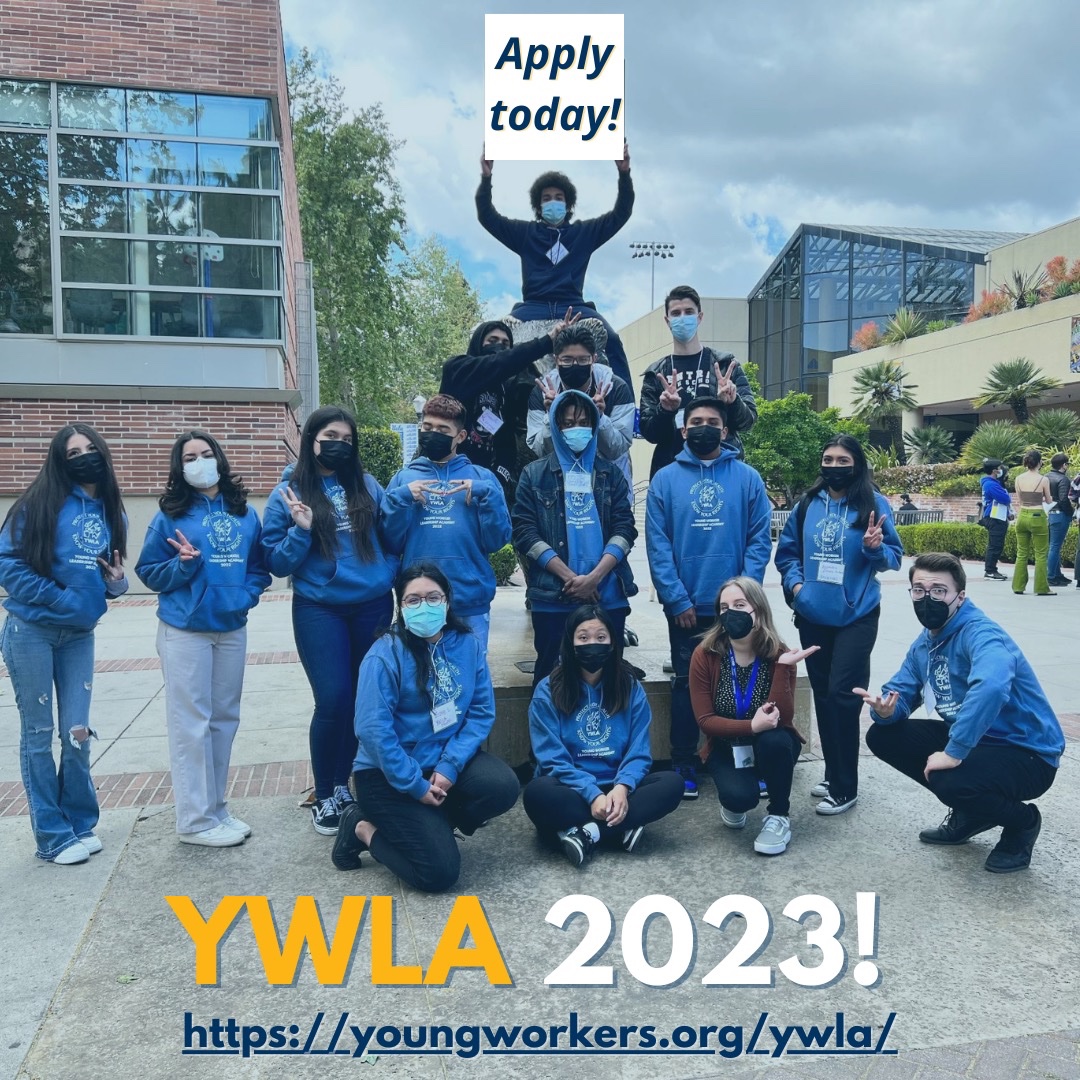 Young Workers tweet media