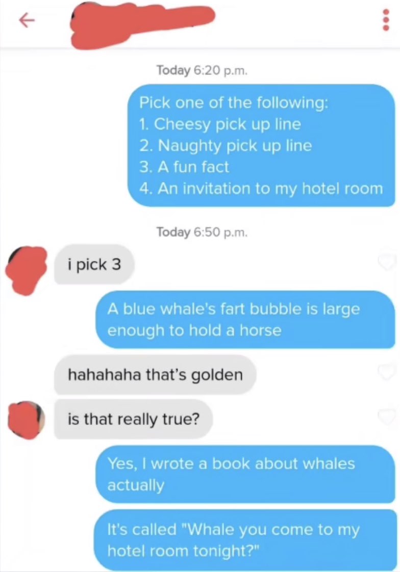 Pick Up Lines 🤣 (@pickuplinesonig) on X, image size:784x1121