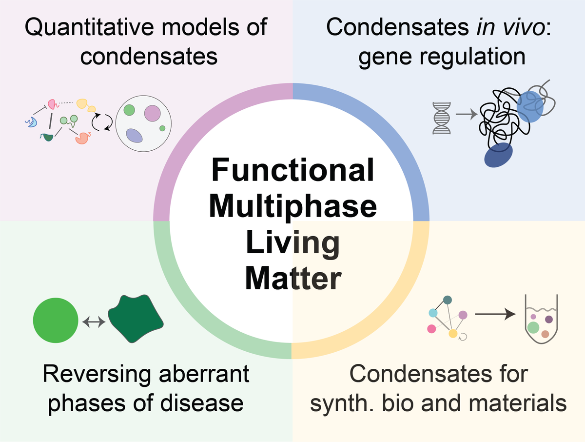 I am currently on the job market and excited to be at #AIChE2022 (see⬇️)

The (future) Shrinivas lab will work to engineer biomolecular condensates in living cells as functional multiphase matter with applications to genome/synth. biology, human health, and materials design.(1/3)