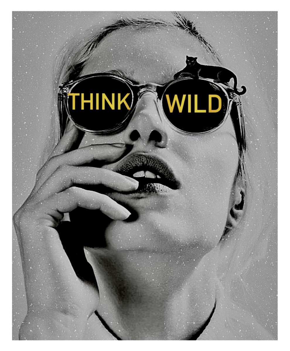 paula vincenti (@pvincenti) on Twitter photo 