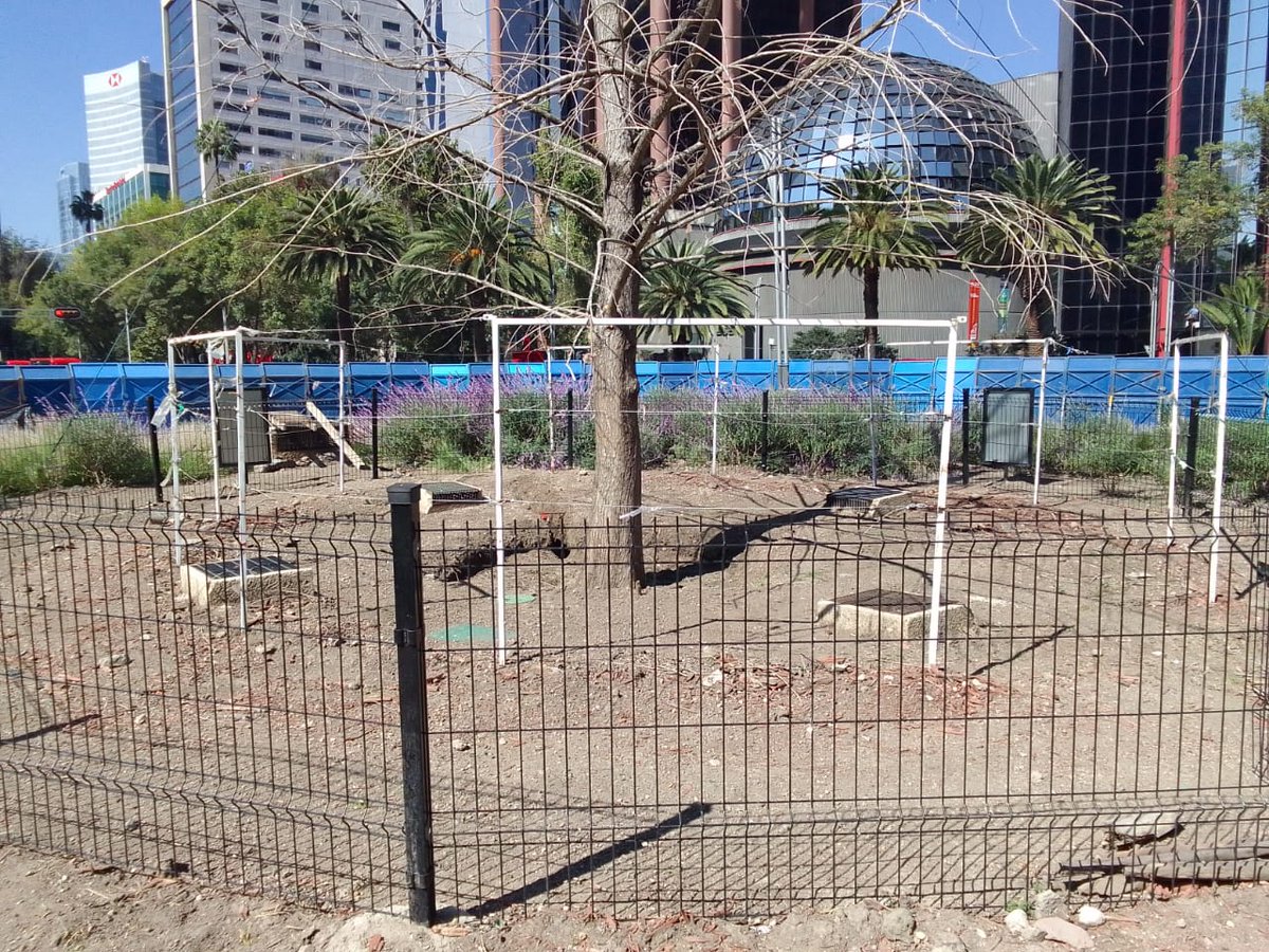 Glorieta de las y los Desaparecidos tweet media