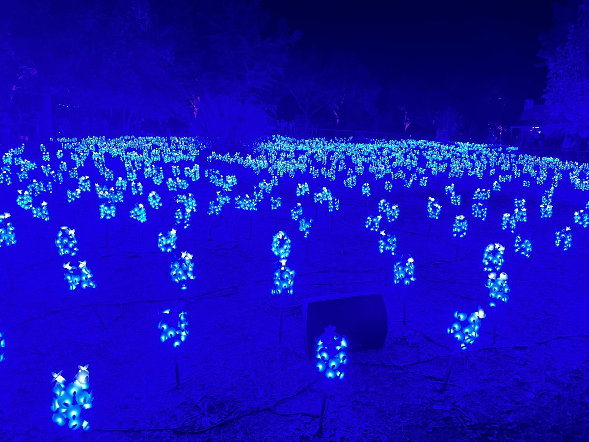 *Cue the Christmas music* We had a blast checking out the #LightscapeSanAntonio at the @sabotgarden! I do have to say those Texas bluebonnets were my absolute favorite!